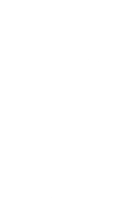MINIMUM PROJECT COSTS: MAXIMUM PROJECT COSTS: LESSEE or LEASE GUARANTOR: LEASE TYPE: LEASE TERM: LEASE PAYMENTS: